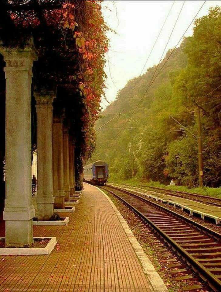 Evaluarea psihologică pentru șoferi – ce trebuie să știi înainte de test