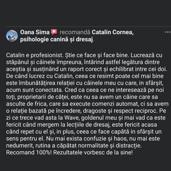 testimonial despre Cătălin Cornea psiholog canin - Oana Sima recomandă Catalin Cornea, psihologie canină și dresaj.
Catalin e profesionist. Știe ce face și face bine. Lucrează cu stăpânul și câinele împreună, întărind astfel legătura dintre aceștia și susținând un raport corect și echilibrat între cei doi. De când lucrez cu Catalin, ceea ce resimt poate cel mai bine este îmbunătățirea relației cu câinele meu cu care, în sfârșit, acum sunt conectata. Cred ca ceea ce ne interesează pe noi toți, proprietarii de căței, este nu sa avem un câine care sa asculte de frica, care sa execute comenzi automat, ci sa avem o relație bazata pe încredere, dragoste și respect reciproc. Pe zi ce trece văd asta la Wave, goldenul meu și mai vad ca este fericit când mergem la lecțiile de dresaj, este fericit acasa când repet cu el și, în plus, ceea ce face capătă în sfârșit un sens pentru el. Nu mai exista confuzie și haos, nu mai este nedumerit, rutina a căpătat normalitate și distracție. Recomand 100%! Rezultatele vorbesc de la sine!