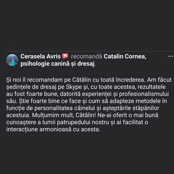 testimonial despre Cătălin Cornea psiholog canin - Cerasela Avris recomandă Catalin Cornea, psihologie canină și dresaj.
Și noi îl recomandam pe Cătălin cu toată încrederea. Am făcut ședințele de dresaj pe Skype și, cu toate acestea, rezultatele au fost foarte bune, datorită experienței și profesionalismului său. Știe foarte bine ce face și cum să adapteze metodele în funcție de personalitatea câinelui și așteptările stăpânilor acestuia. Mulțumim mult, Cătălin! Ne-ai oferit o mai bună cunoaștere a lumii patrupedului nostru și ai facilitat o interacțiune armonioasă cu acesta.