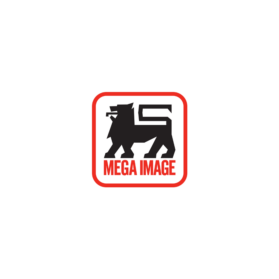 logo mega image patrat