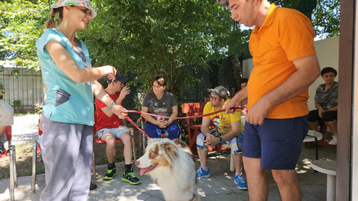 Activitate de grup asistată de câini, coordonată de Cătălin într-un centru de recuperare neuropsihiatrică - proiect social Cătălin Cornea - website Cătălin Cornea psiholog canin