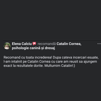 testimonial despre Cătălin Cornea psiholog canin - Elena Calciu recomandă Catalin Cornea, psihologie canină și dresaj.
Recomand cu toata increderea! Dupa cateva incercari esuate, l-am intalnit pe Catalin Cornea cu care am reusit sa ajungem exact la rezultatele dorite. Multumim, Catalin! :)
