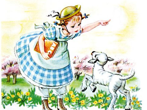 Mary did have a little lamb