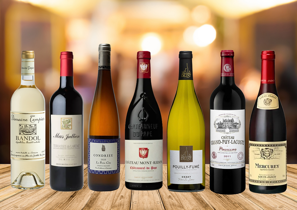 atelier-degustation-vins-de-france-team-building