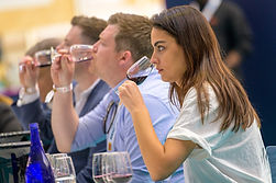 atelier-degustation-vins-de-france-team-building