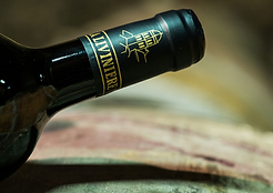 Atelier œnologique dégustation de vin du Languedoc-Roussillon pour entreprise à Montpellie