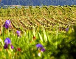 Chateau de Caraguilhes