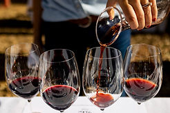 atelier-degustation-vins-de-france-team-building