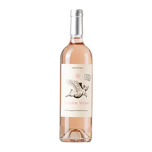Caraguilhes cochon volant rose e vente professionnel hérault