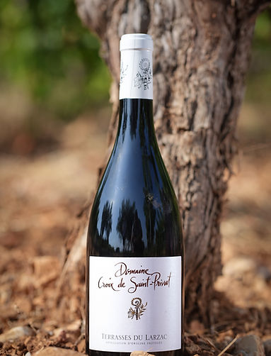 domaine-croix-de-saint-privat-vin-bio-aniane