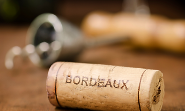 Formation vin de Bordeaux