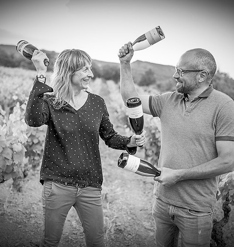 le-clos-du-serre-vente-pro-herault