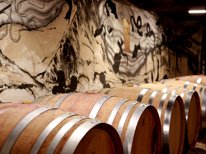 Vinification et cave du Château la Salade Saint-Henri