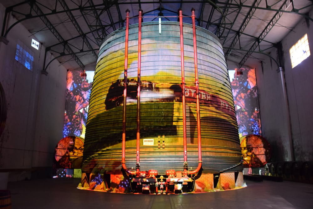 Visite Guidée : Visionarium