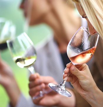 Initiation à la dégustation de vin - cours œnologique pour entreprise