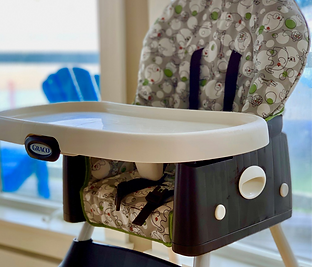 Beachside Rental Services High Chair