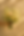 20250629_1256_Ethereal Bridal Bouquet_simple_compose_01jyym3kstemqr01p9kzjcnan7.png