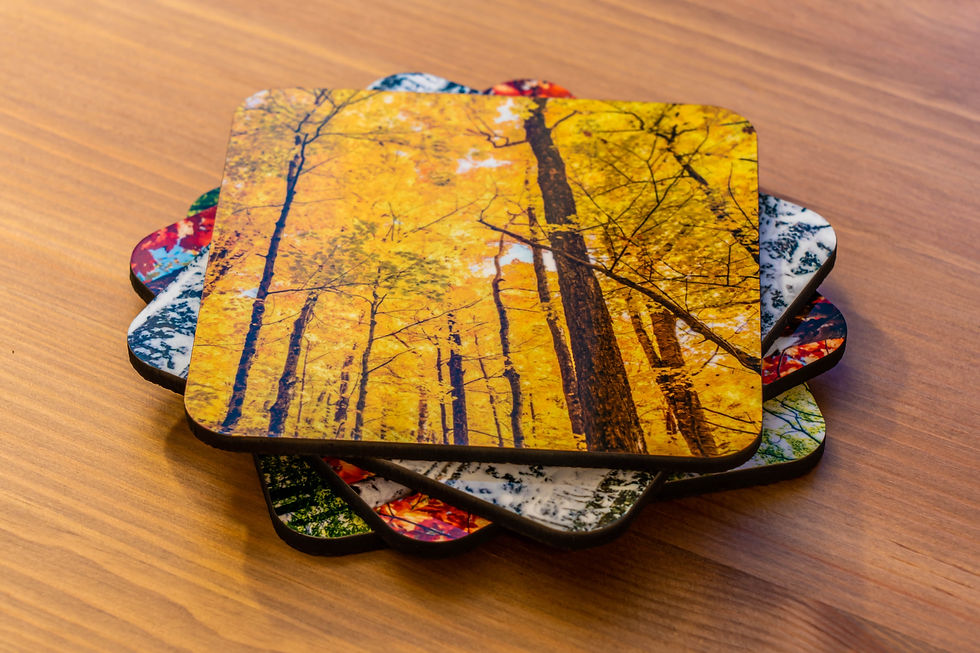 Thumbnail: Trees Coaster Set
