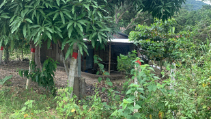 Familia Morales Vite