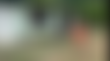 Familia Macias Campos