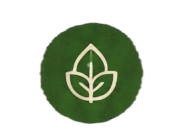 f4a46247-14fa-4379-bc52-576de2e8203e_edited.png