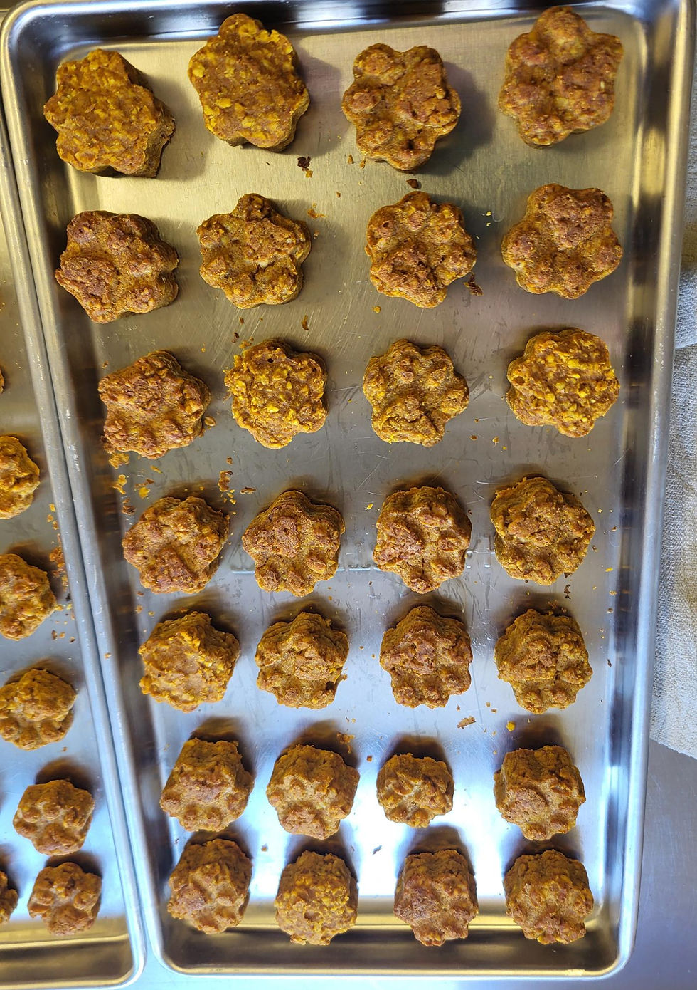 Pumpkin, peanut butter, oats & cinnamon paw prints shaped treats on a tray going into the freeze dryer