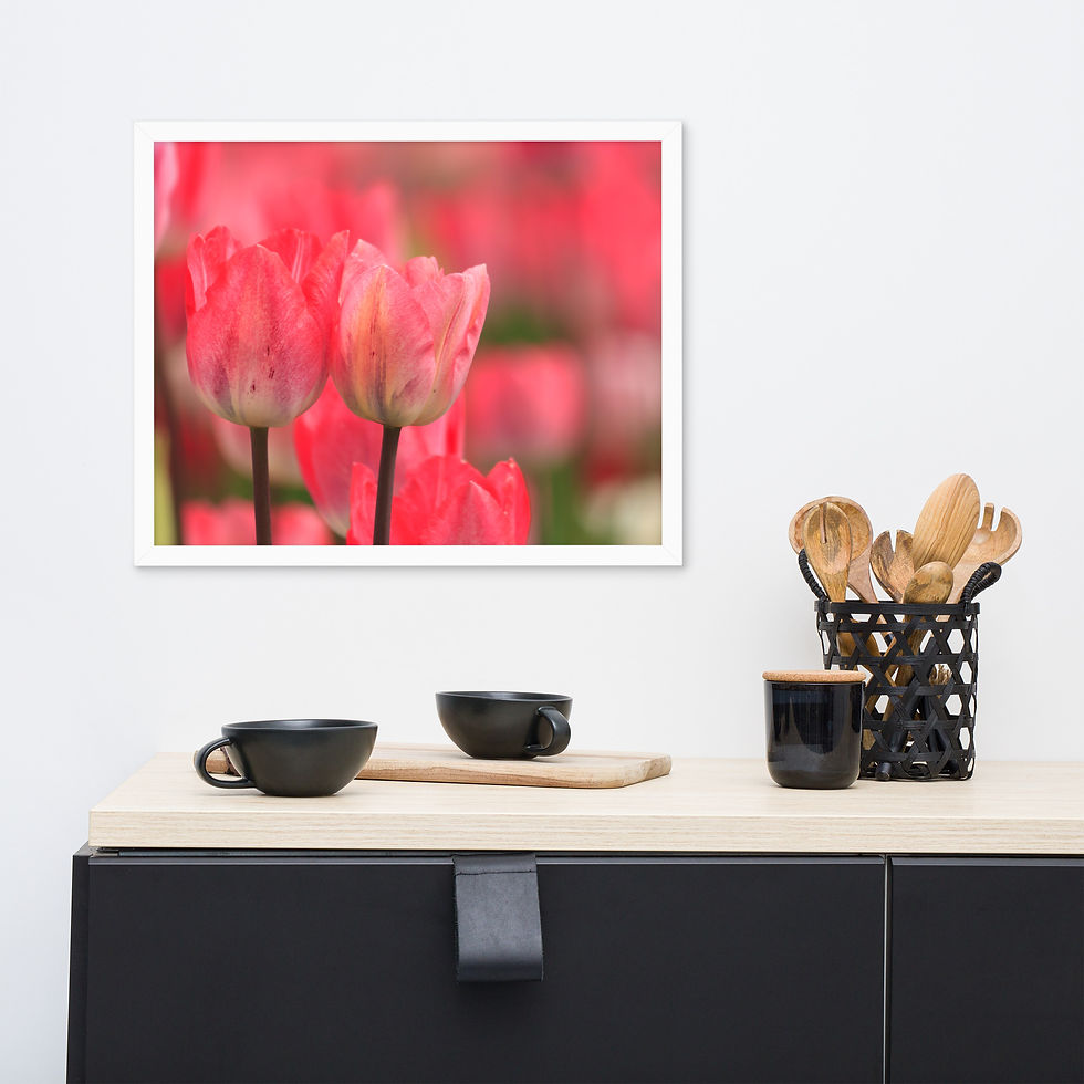 Thumbnail: Framed poster - Tulips in the Valley - Abbottsford - British Columbia - 9386