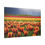 Thumbnail: Tulips of the Valley Festival Canvas Print — Agassiz, BC Stretched Art
