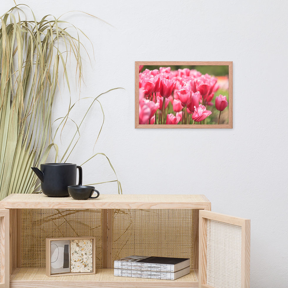 Thumbnail: Framed poster - Tulips in the Valley - Abbottsford - British Columbia - 9253