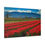 Thumbnail: Canvas Print - Tulips in the Valley Festival in Chilliwack British Columbia
