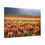 Thumbnail: Tulips of the Valley Festival Canvas Print — Agassiz, BC Stretched Art
