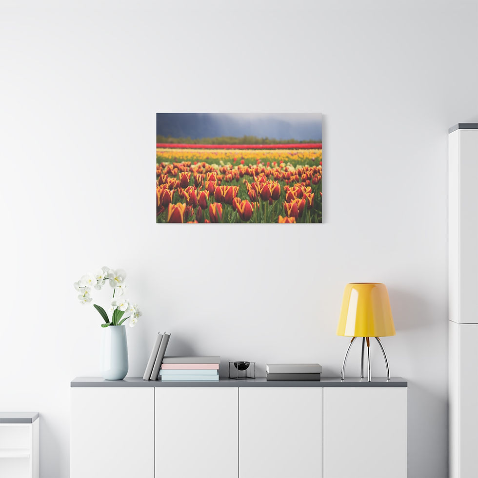 Thumbnail: Tulips of the Valley Festival Canvas Print — Agassiz, BC Stretched Art