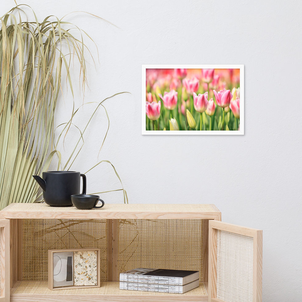 Thumbnail: Framed poster - Tulips in the Valley - Abbottsford - British Columbia - 9298