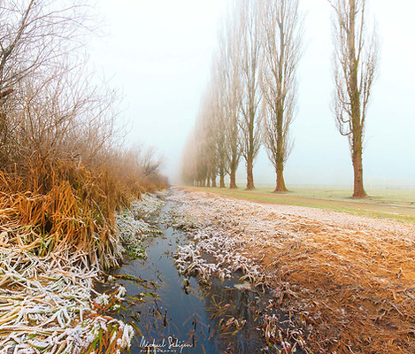 Foggy sunrise stoll by Burnaby Lake, British Columbia