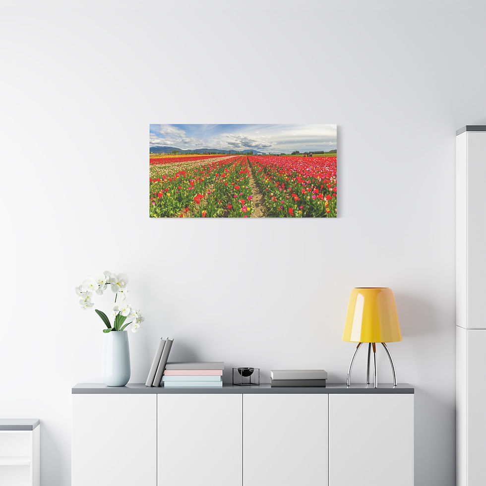 Thumbnail: Tulip Field Panorama Canvas Print — Matte Stretched Wall Art