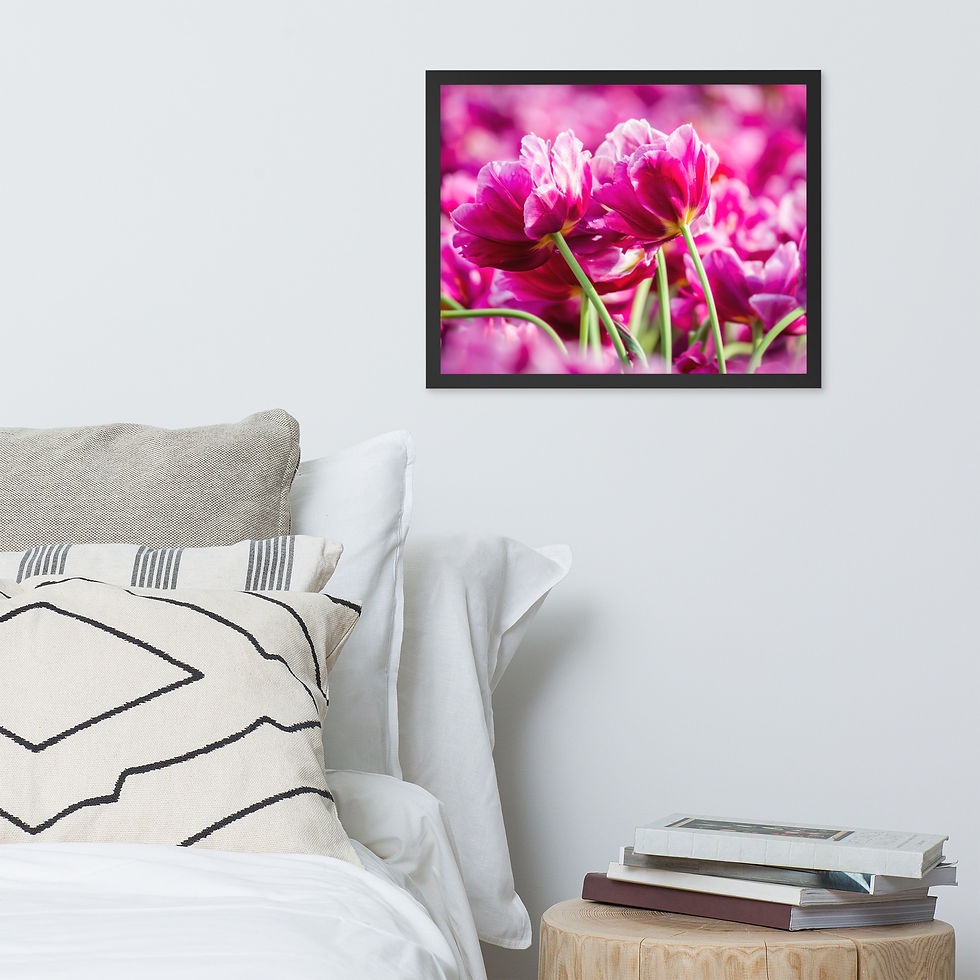 Thumbnail: Framed poster - Wall  Art - Tulips in the Valley - Canada