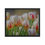 Thumbnail: Framed poster - Tulips in the Valley - Chilliwack - British Columbia - 4127