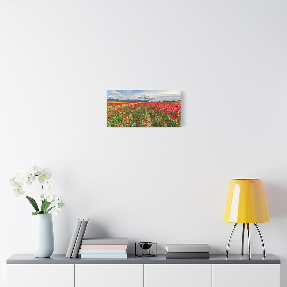 Thumbnail: Tulip Field Panorama Canvas Print — Matte Stretched Wall Art