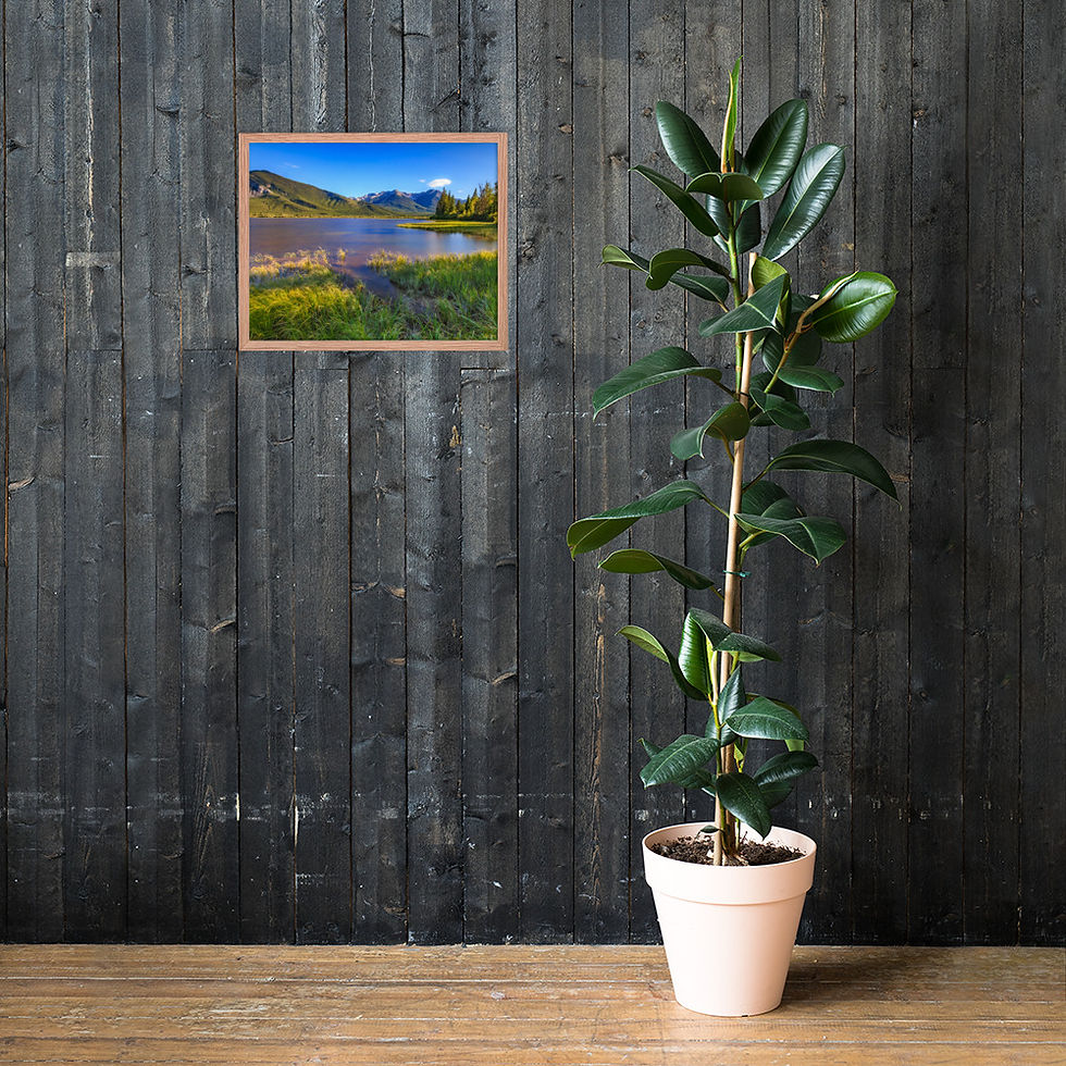 Thumbnail: Framed poster - Vermilion Lake - Banff National Park - Canada