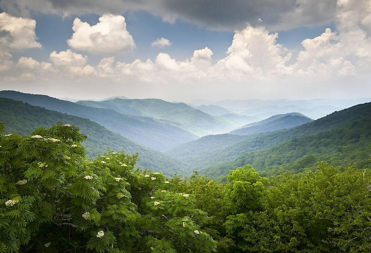 AdobeStock_38442754 copy.jpeg
