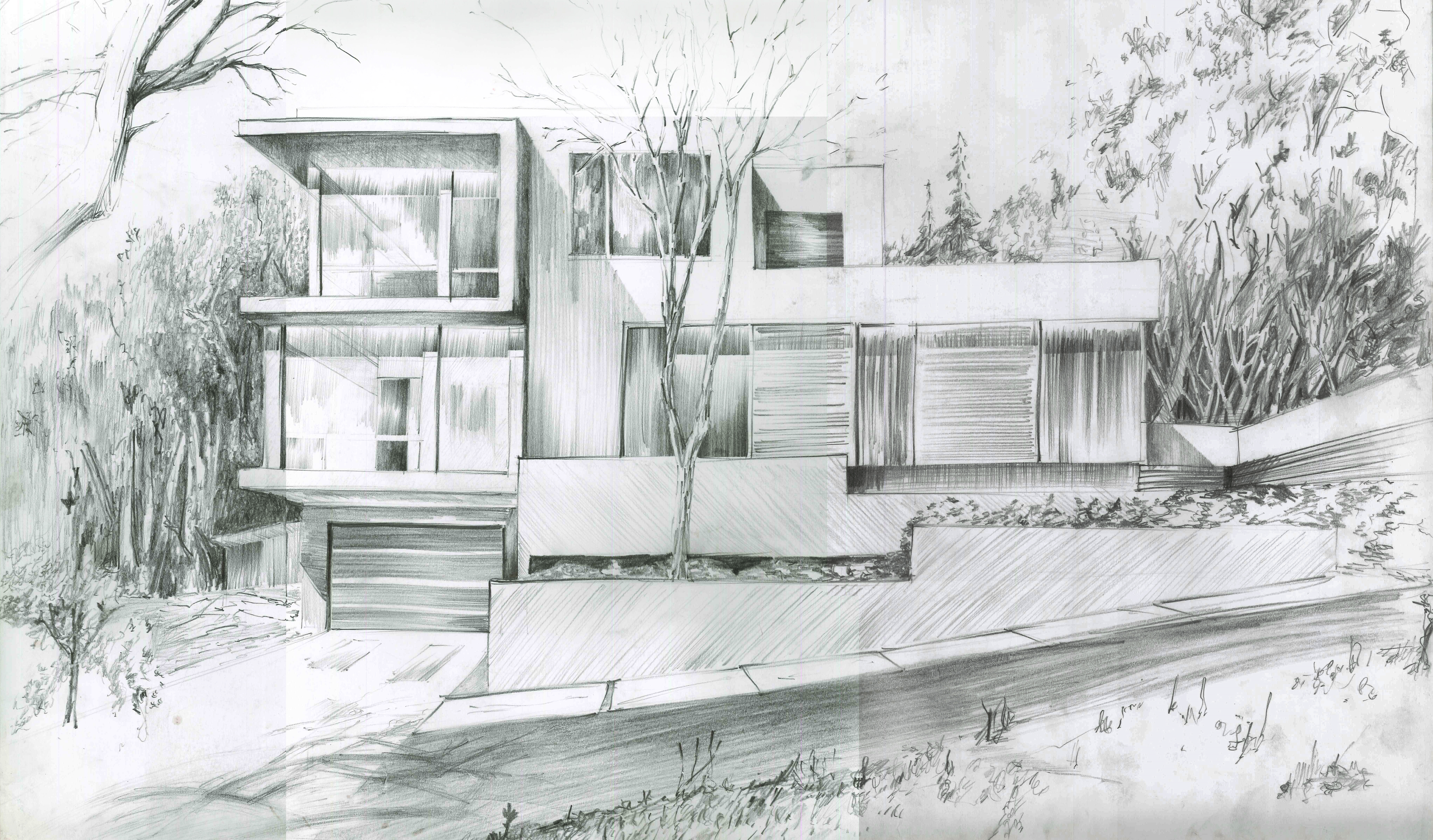 Patryk Molendowski Portfolio Rysunek