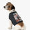 Thumbnail: COURAGE PET TEE
