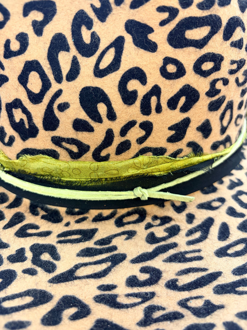Thumbnail: LEOPARD & MOTH