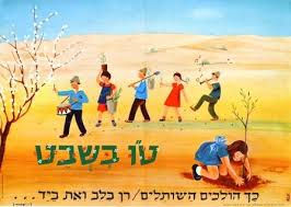 נטיעות מאוחרות לט"ו בשבט
