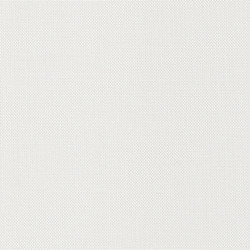 Nordic Screen BW White-White