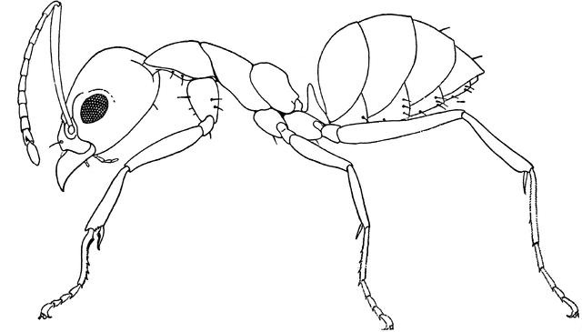 A negyedik korcsoport, azaz 7 – 8. évfolyam designkultúra modul bemutatása