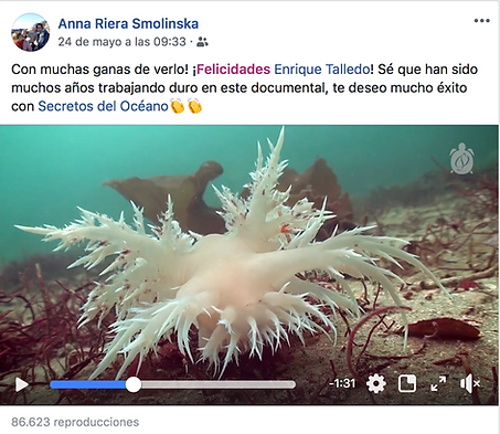 Captura de pantalla 2019-05-29 a las 12.