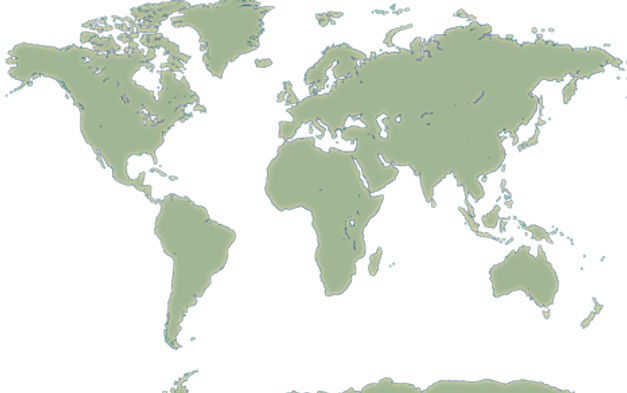 shapeimage_6.png