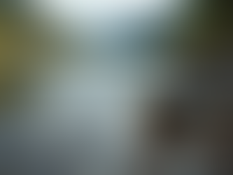 Stay Updated with the Latest Fishing Reports