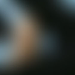 PART 3 — Inside the Brands: What Founders and Distributors Want the Industry to Know